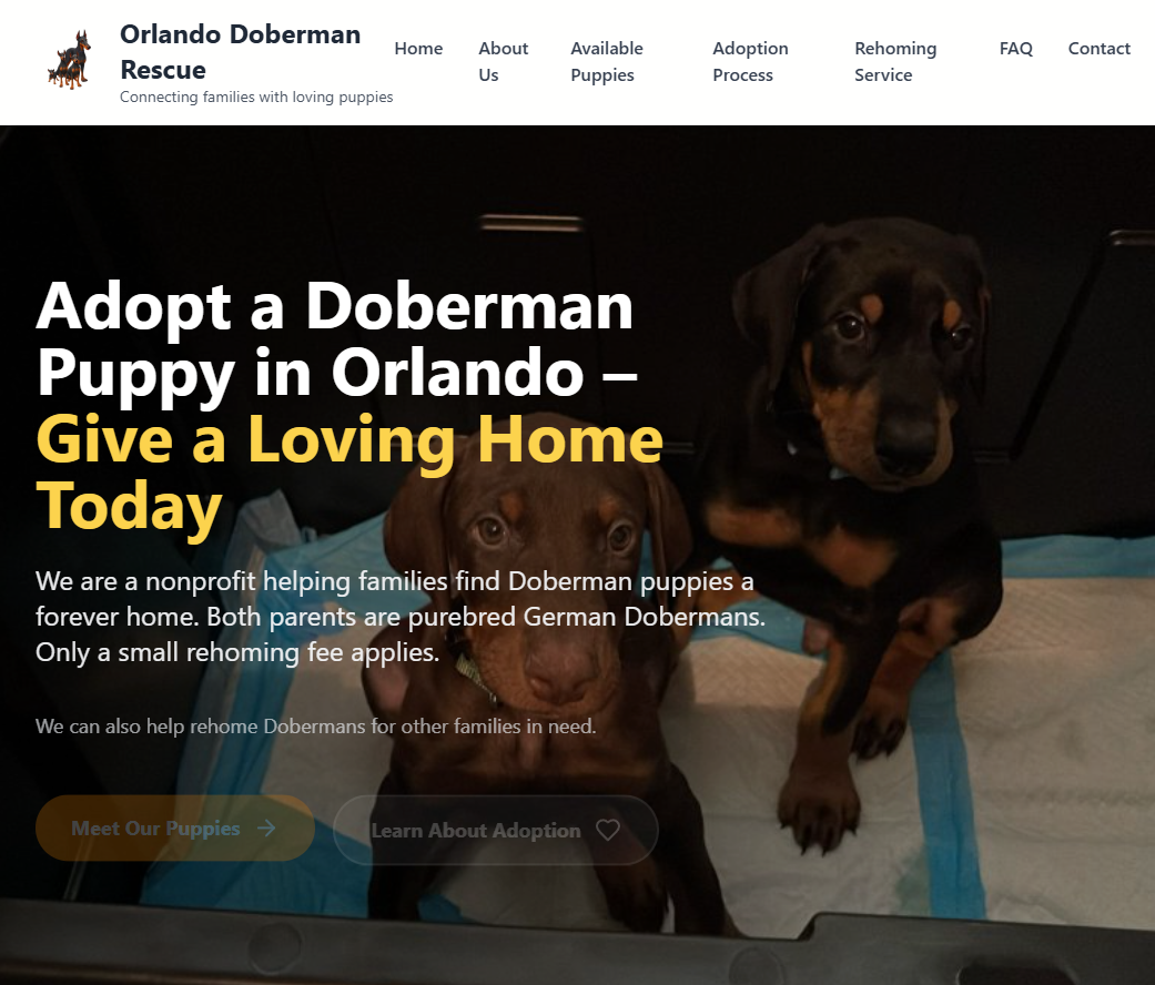 Dobermans of Orlando